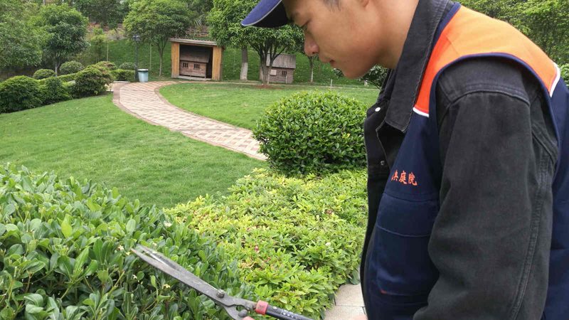 小区绿化率如何成为衡量楼盘品质的重要指标？**