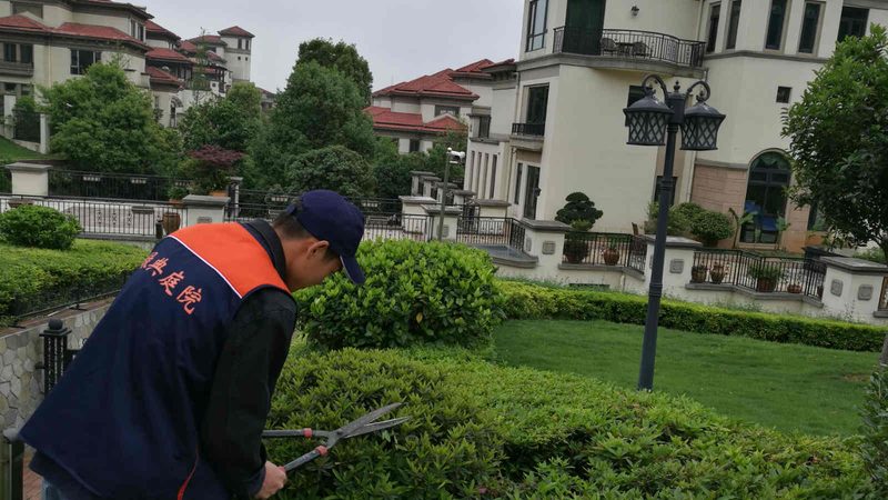 园林公司经营范围：市政工程篇，揭秘专业之道**