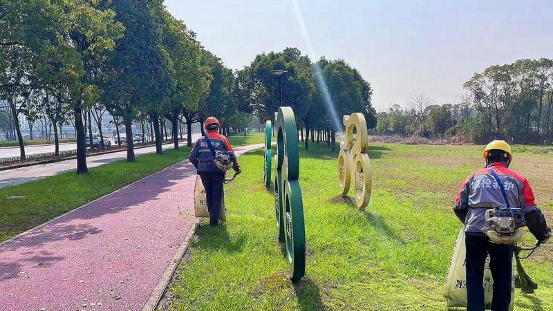 屋顶草坪防水层设计要点解析