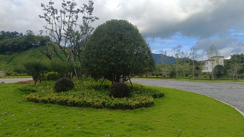 商业庭院设计规范与住宅区别