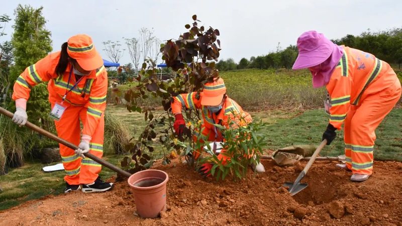 玻璃钢花箱：揭秘其价格构成与选购要点
