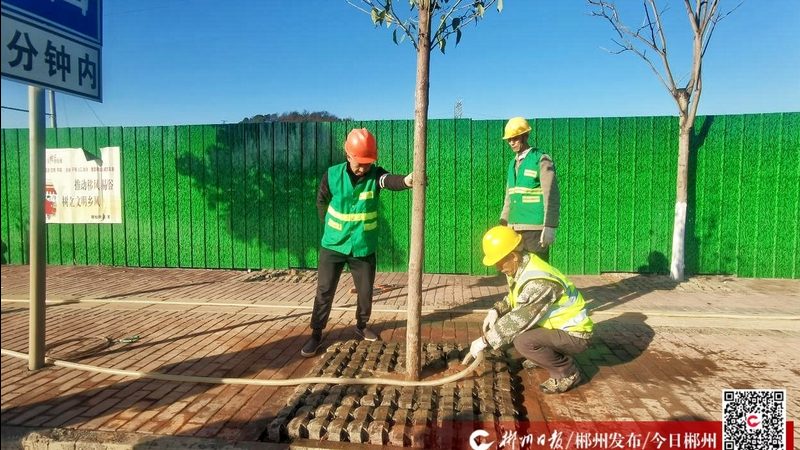 市政园林绿化公司排名背后的考量因素