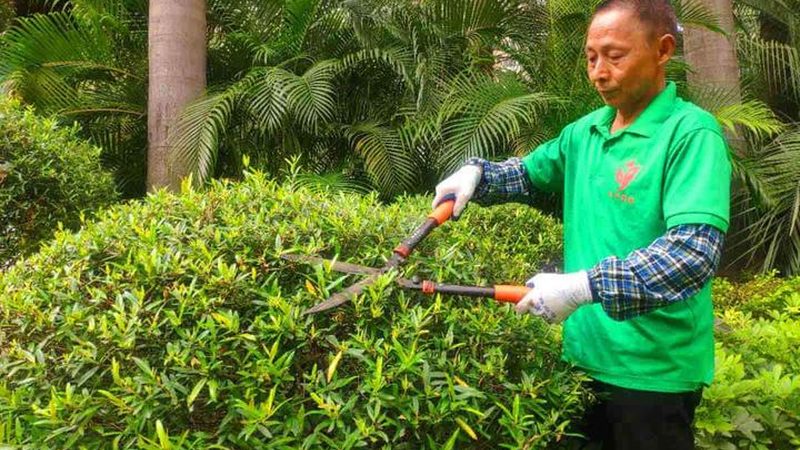 上海绿化工程公司加盟，需掌握哪些关键要素？**