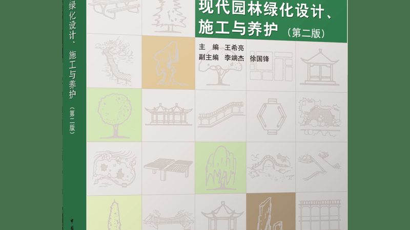 树池深度标准：如何确保树木健康生长