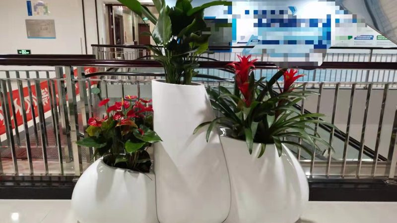 高羊茅草坪：了解其优缺点，打造理想绿茵场**