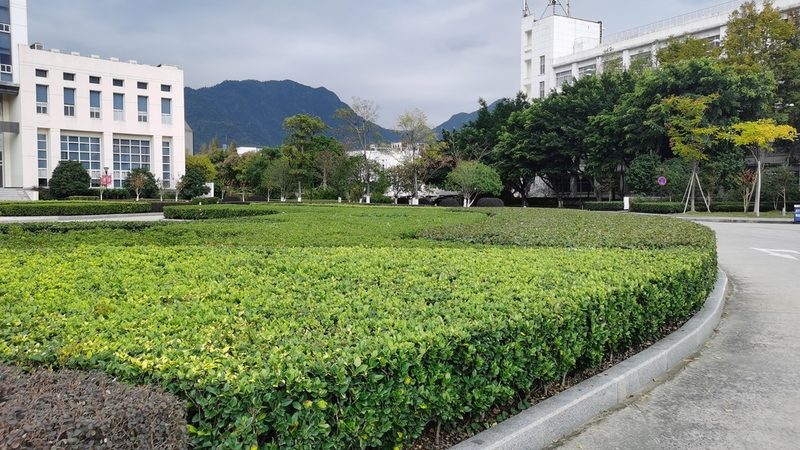如何选择苗木种植加盟品种？关注这四大要素**