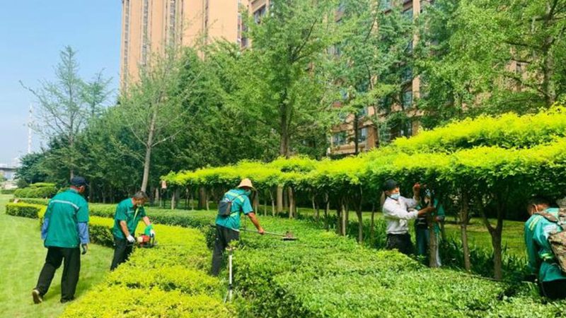 足球场草坪草皮材质解析：选对材质，助力运动体验升级